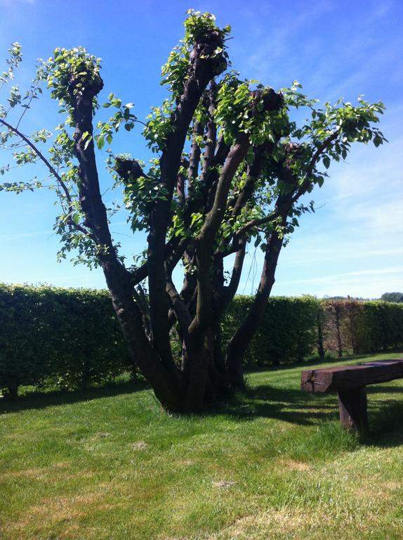 Agriturismo Morgan Montebelluna Dış mekan fotoğraf
