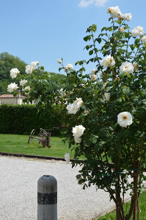 Agriturismo Morgan Montebelluna Dış mekan fotoğraf