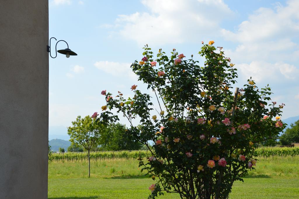 Agriturismo Morgan Montebelluna Dış mekan fotoğraf