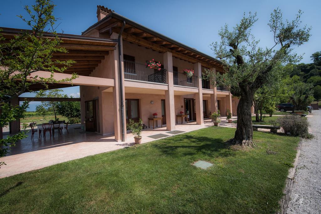 Agriturismo Morgan Montebelluna Dış mekan fotoğraf