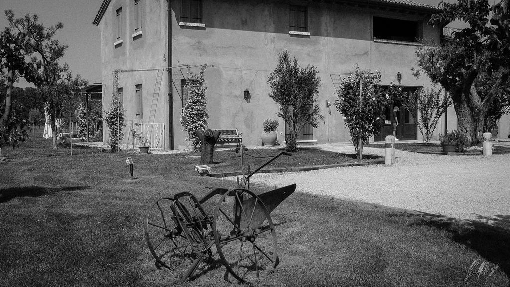 Agriturismo Morgan Montebelluna Dış mekan fotoğraf